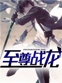 至尊战龙txt